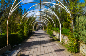 Arcos de un jardín